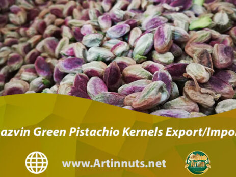 Qazvin Green Pistachio Kernels Export/Import
