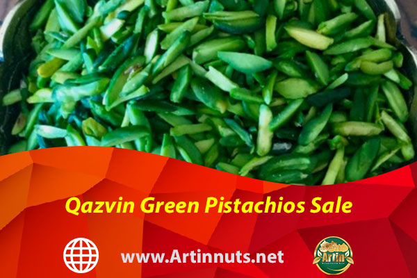 Qazvin Green Pistachios Sale