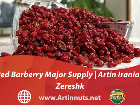 Red Barberry Major Supply | Artin Iranian Zereshk
