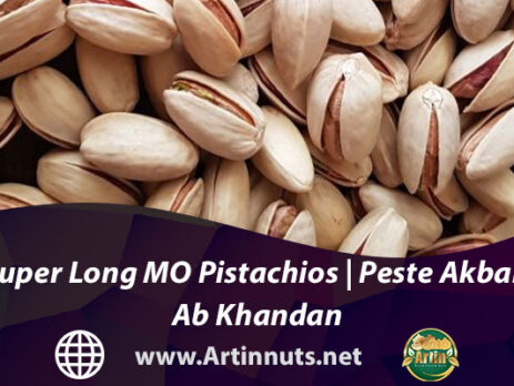 Super Long MO Pistachios | Peste Akbari Ab Khandan