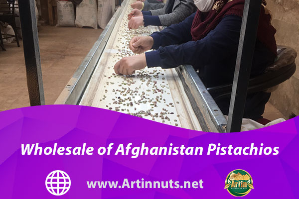 Wholesale of Afghanistan Pistachios