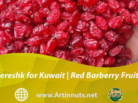 Zereshk for Kuwait | Red Barberry Fruits