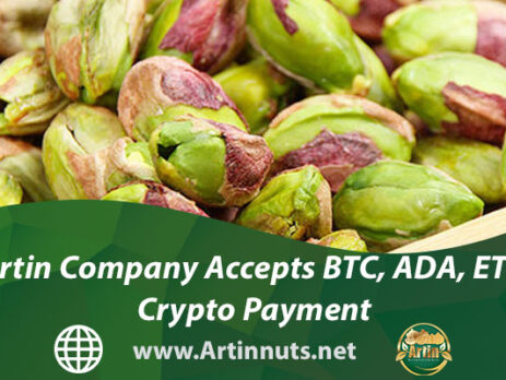 Artin Company Accepts BTC, ADA, ETH | Crypto Payment