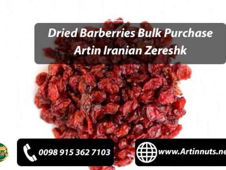 Dried Barberries Bulk Purchase