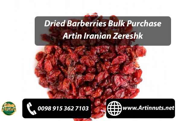 Dried Barberries Bulk Purchase